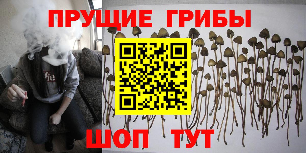 Галлюциногенные грибы мухоморы Гулькевичи
